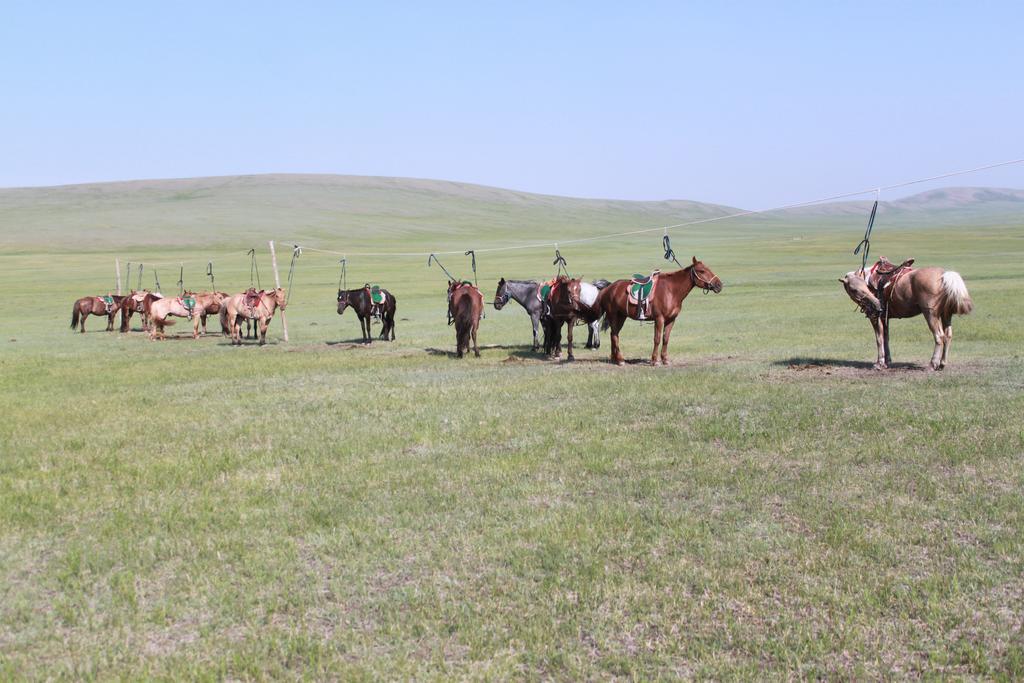 Nomad Horse Camp Nalayh Exterior foto